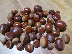山栗