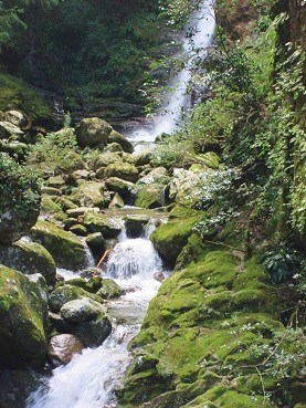 限界集落の里山の風景
