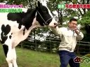 おじゃマップ 動画~農業高校に香取慎吾&ザキヤマ&道端アンジェリカが行くぞSP!~120530