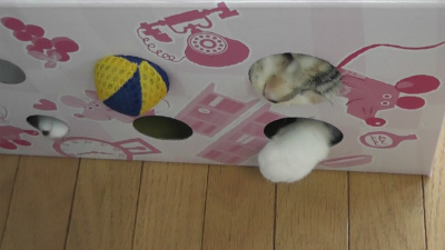 戻れない!