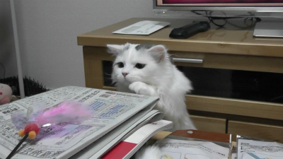 慎重に、慎重に
