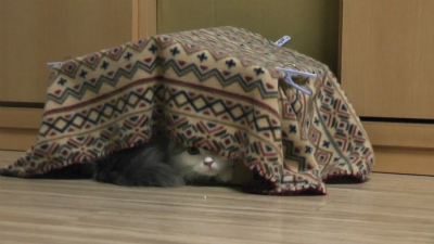 このままじゃぁ、収まらないですぅ
