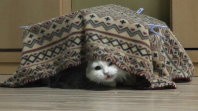 恨みはらさでおくべきかぁ ですぅ