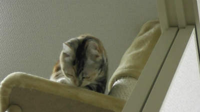 落ち込み