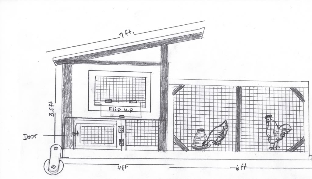  Chicken Shed Plans - How to learn DIY building Shed 