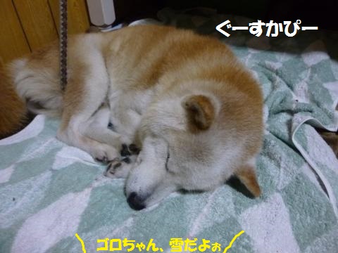 朝寝じゃ