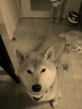 20120730_002503.jpg