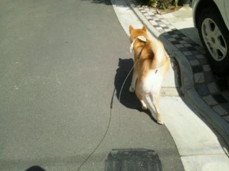 20120803_225925.jpg