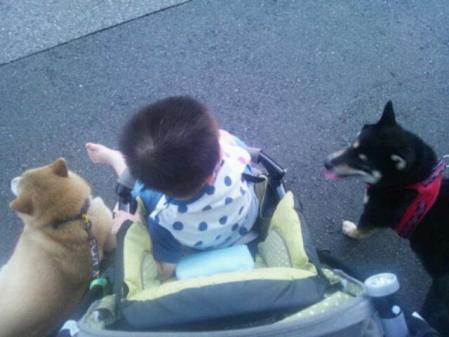 20120803_230157.jpg