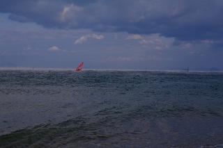 IMGP0203.jpg