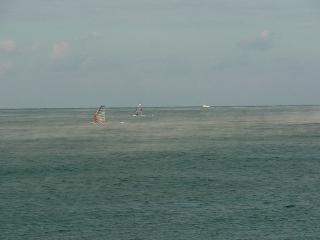 R0014226.jpg