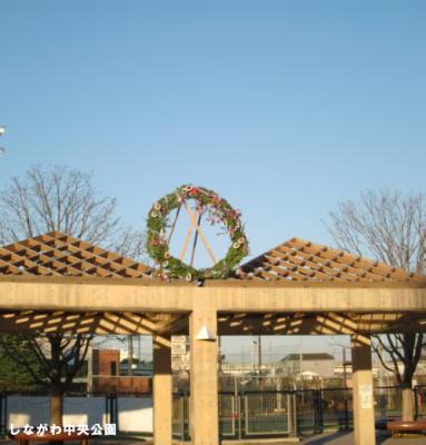 risu1