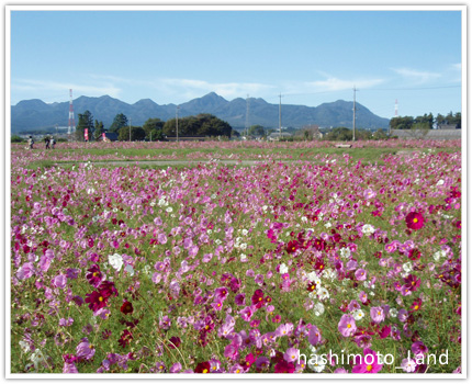 futagoyama_kofun_02.jpg