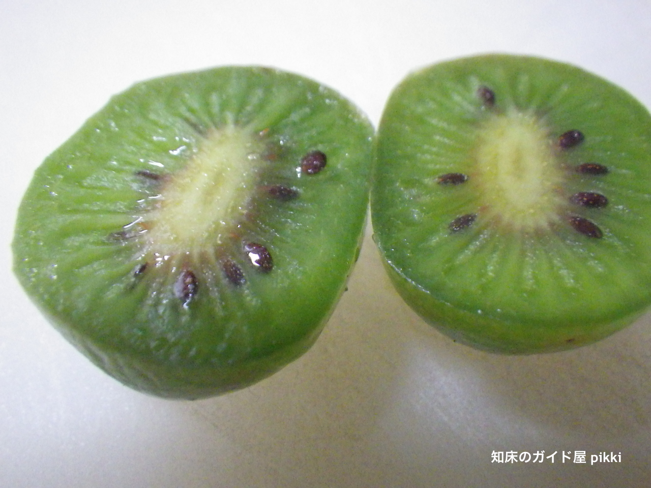 20141028_2.jpg