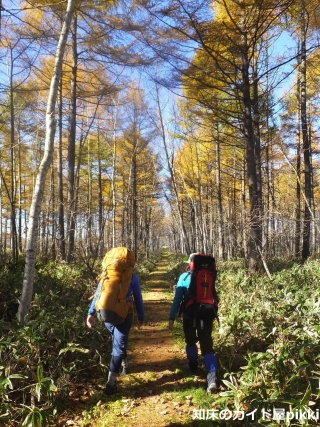 2014_11010036.jpg