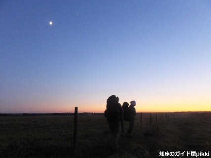 2014_11010055.jpg
