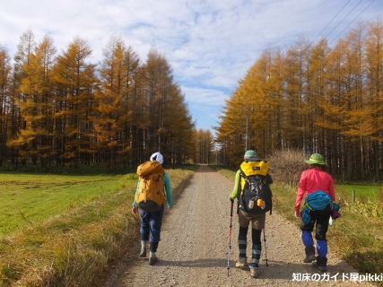 2014_11010070.jpg