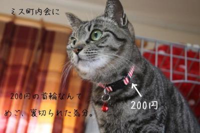 DPP_0036_20130418223550.jpg