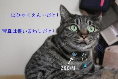 DPP_0065_20130418223615.jpg