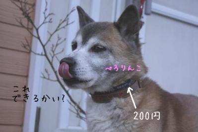 DPP_0091_20130418223144.jpg
