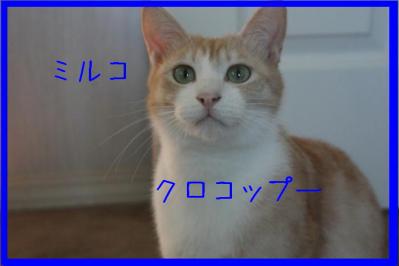 DPP_0129.jpg