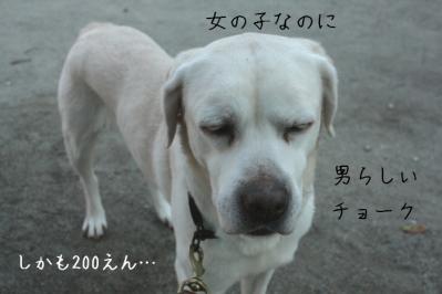 DPP_0174_20130418225140.jpg