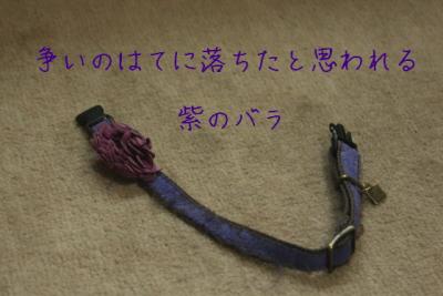 DPP_0218.jpg