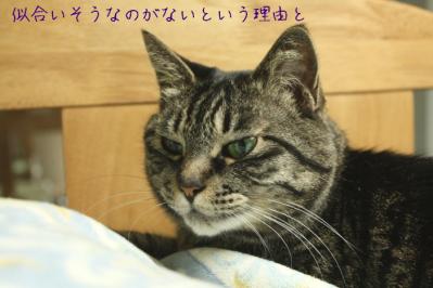 DPP_0225_20130418224933.jpg