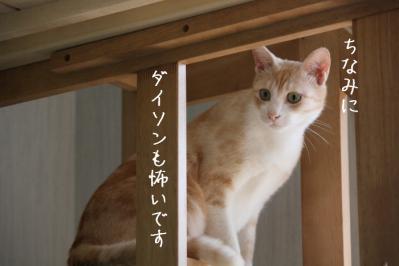 DPP_0226.jpg