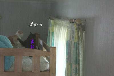 DPP_0287.jpg