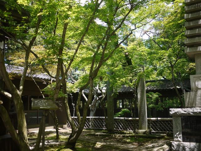 本土寺120610010