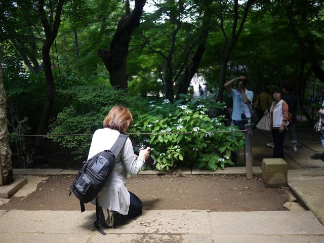 本土寺120610006