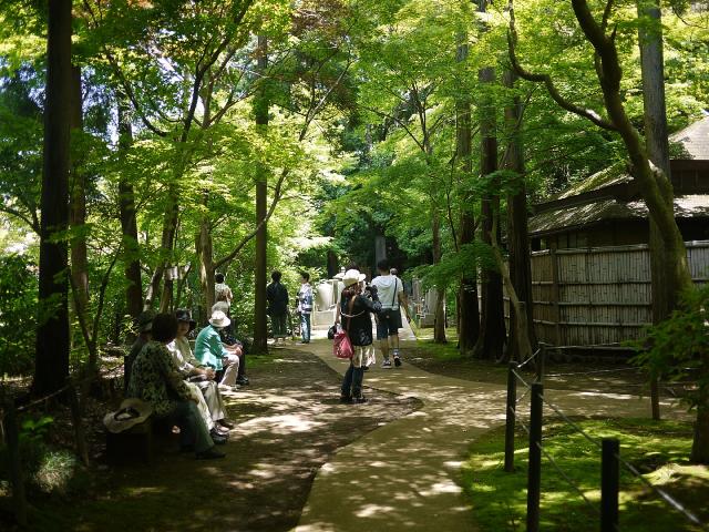 本土寺120610012