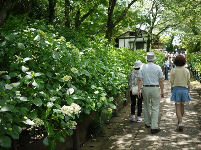 本土寺120610020