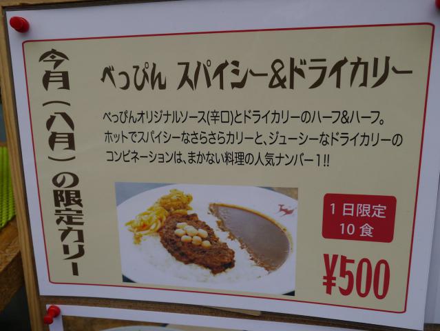 ラクダ120814002