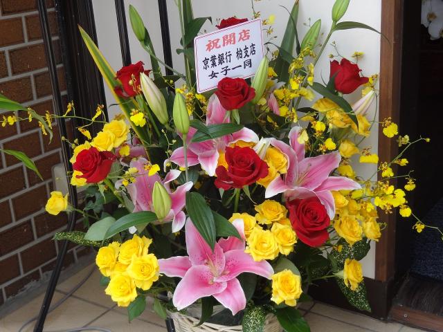 AKEBI120602004.jpg