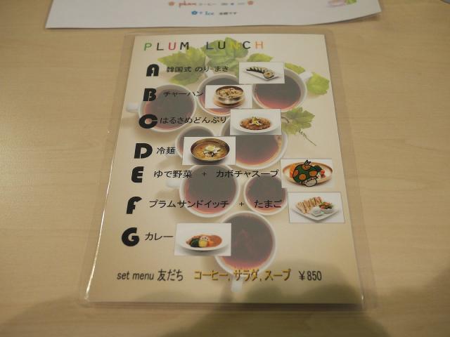 Plum120609002.jpg