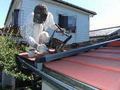 トタン屋根に塗料を塗っている。雨どいの近くにも