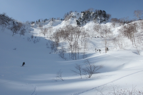 裏ヒヨ一滑りのち -20140201
