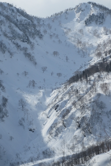 前半の滑走面振り返るの図 -20140201