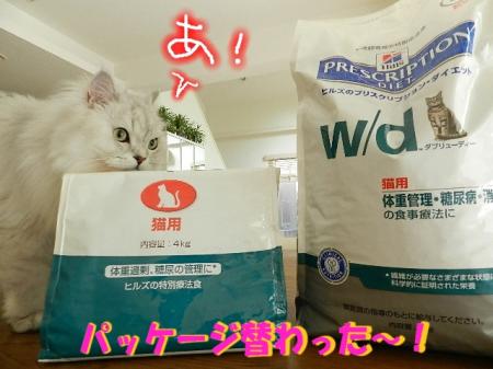wdkt2