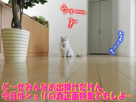 bnsm2