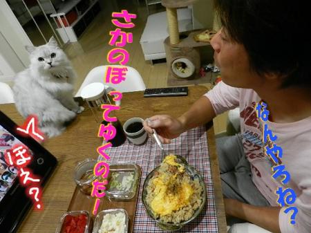 chmt2