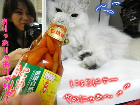 smtg3