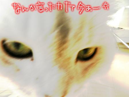 sssn3