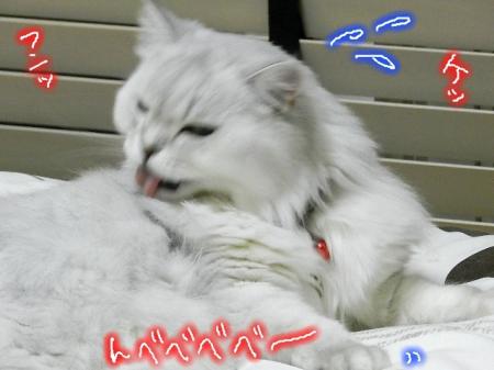 omsk4