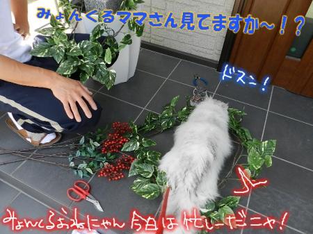bbkko2-5