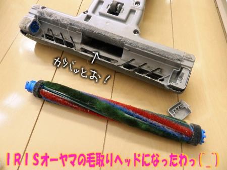 sjkk5