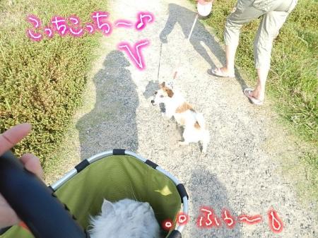 sbys5-6