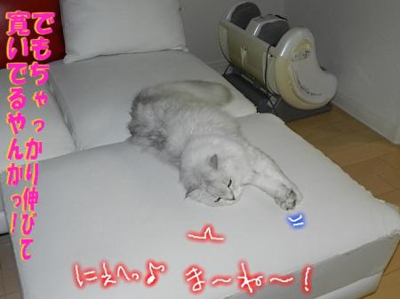 stkt6